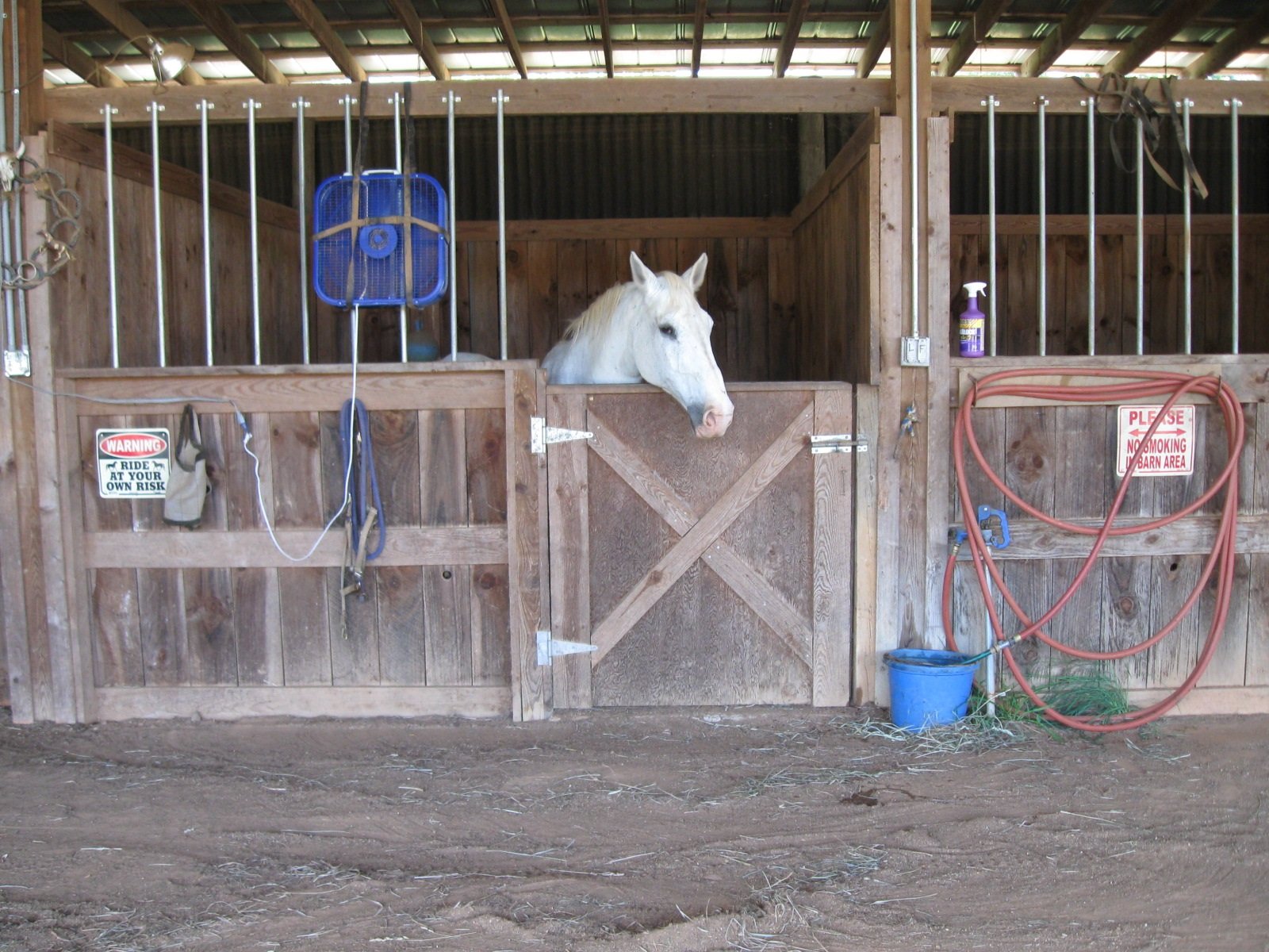 Green Acres Horse Farm Stokesdale, NC Boarding
